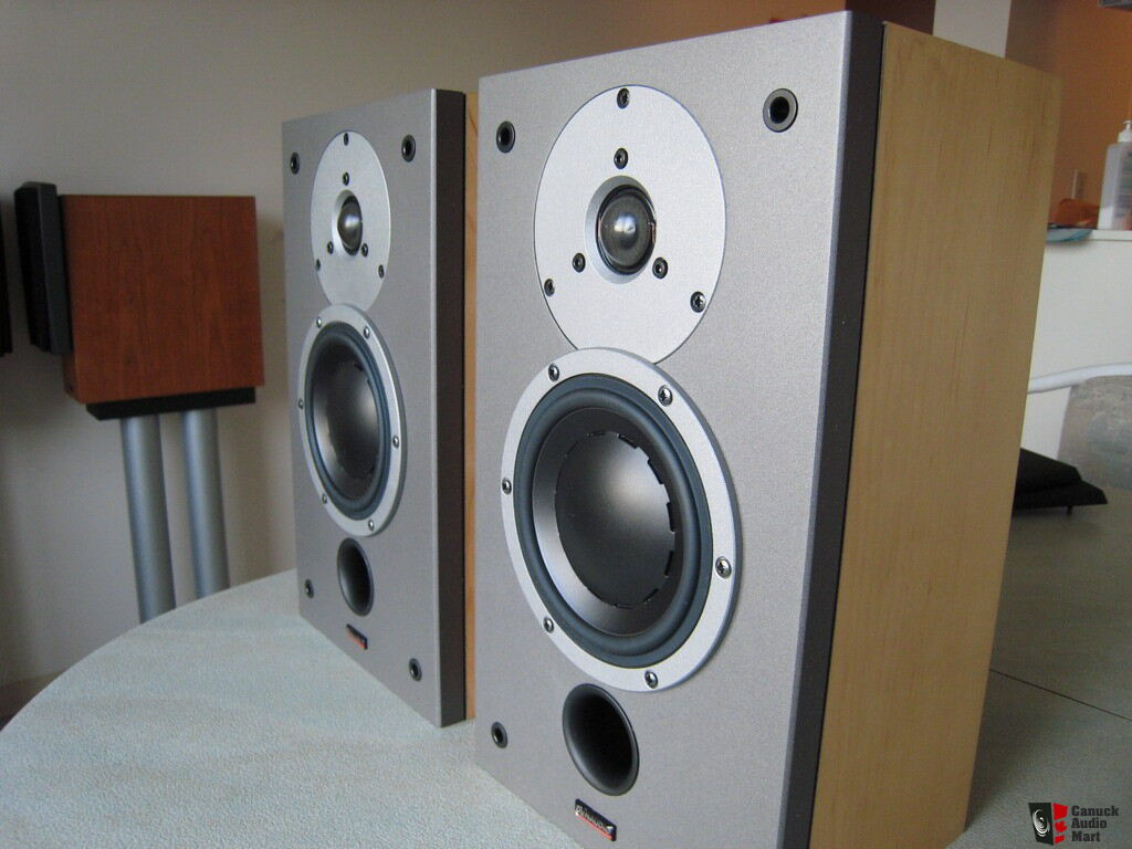 Dynaudio Audience 42W wall mount loudspeaker Photo #204918 - Canuck ...