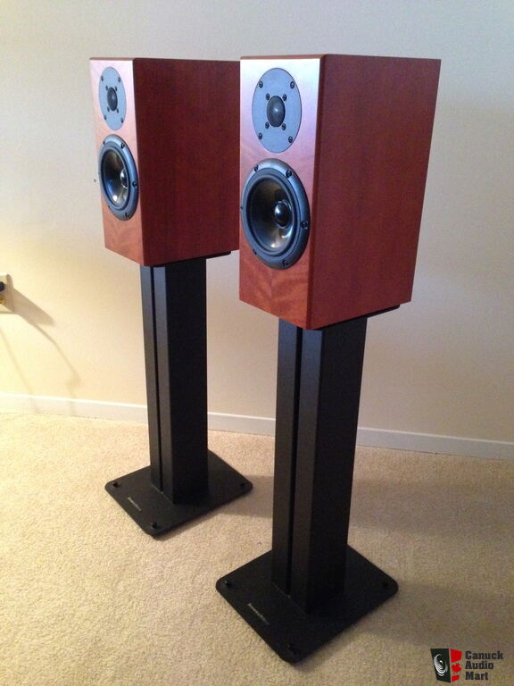 798813-totem-rainmaker-speakers-pair-with-stands.jpg