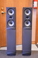 Infinity RS 5 ( Reference Standard 5 