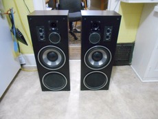 vivid thunder speakers