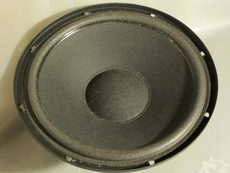 philips 8 inch woofer