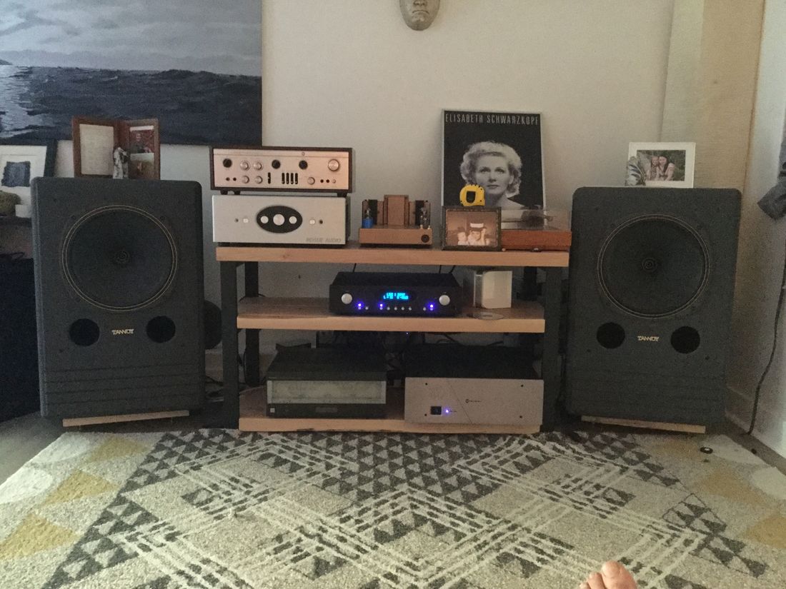 tannoy dmt 15