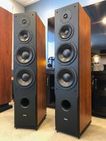 dynaudio audience 82