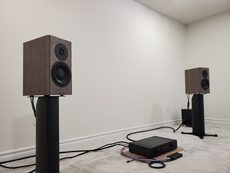 Dynaudio special cheap forty grey