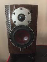 Dali Menuet SE For Sale - Canuck Audio Mart