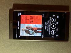 Sony NW-A55 Walkman A Series, Grayish Black Hi-Res DAP with