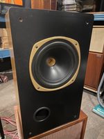 tannoy 10 inch dual concentric