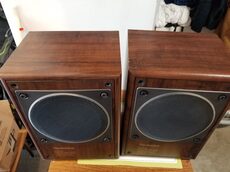 Technics SB-RX30 Coaxial Flat Speaker System For Sale - Canuck