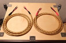 Delta Audio DSC-22 high performance speaker cables (8' pair