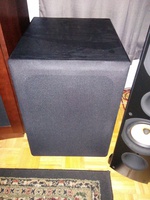 Rythmik LV12r x 2 (3 months old) For 