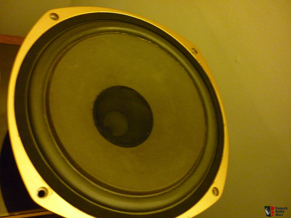 tannoy 3828