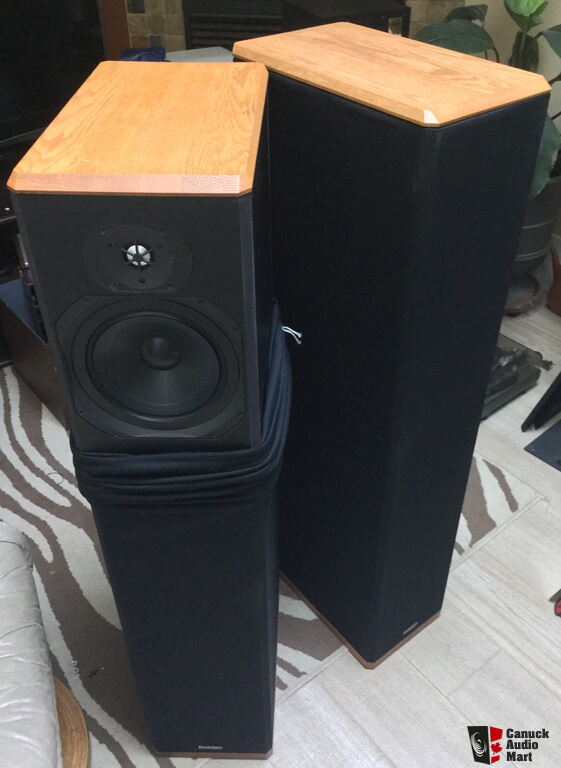 Paradigm store bipolar speakers