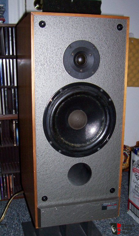 paradigm export monitor speakers