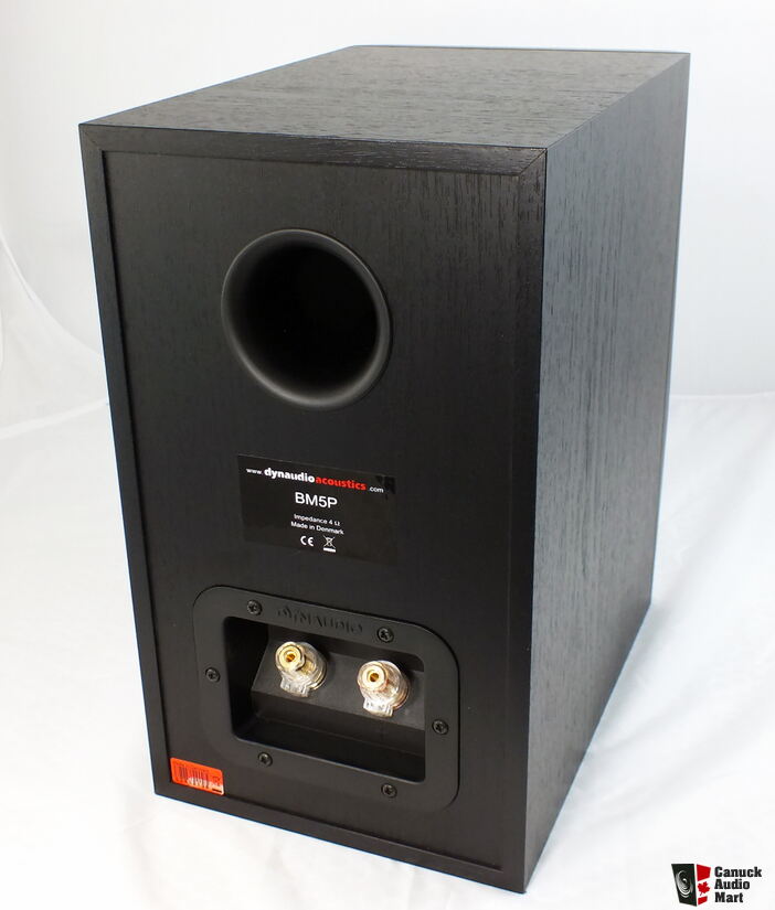 dynaudio bm5p