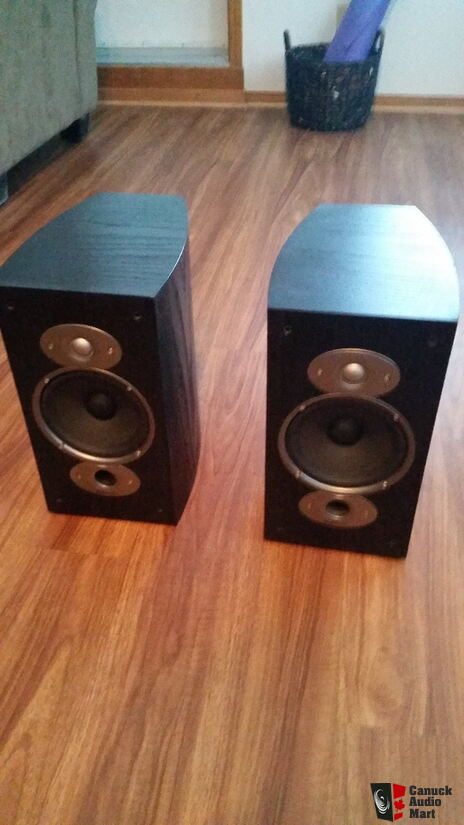 Polk Audio Rti A3 Bookshelf Speakers Photo 1136214 Canuck Audio