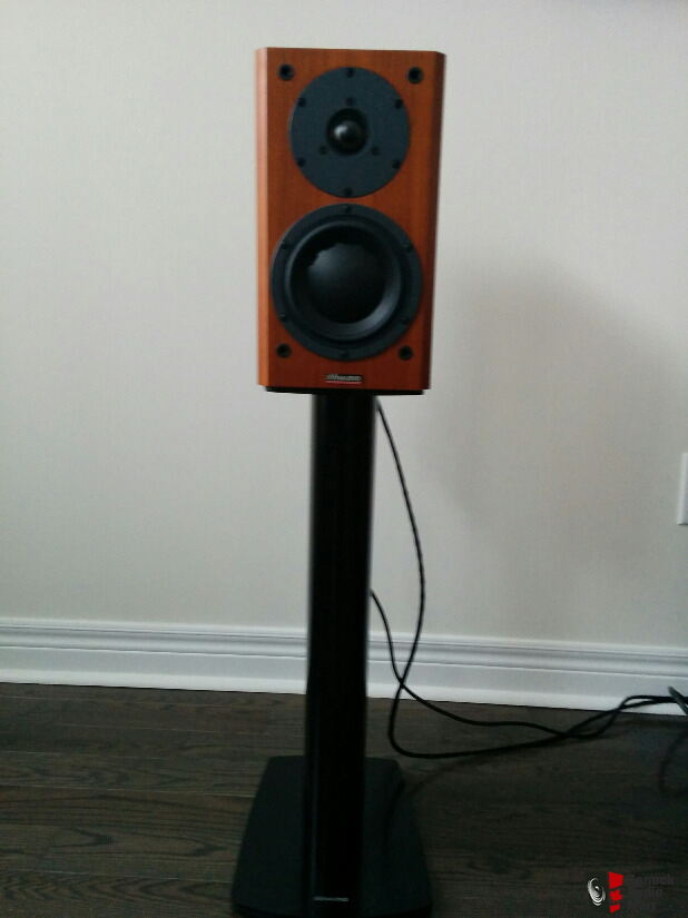 Dynaudio 110a hot sale