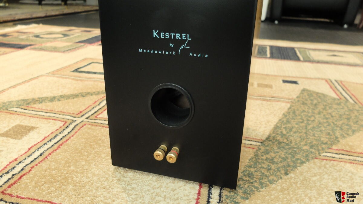 Meadowlark Kestrel Loudspeakers Photo 1162804 US Audio Mart