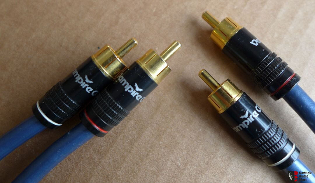 Integrated amp pre out RCA jumpers with Kimber kable PBJ Photo #1345902