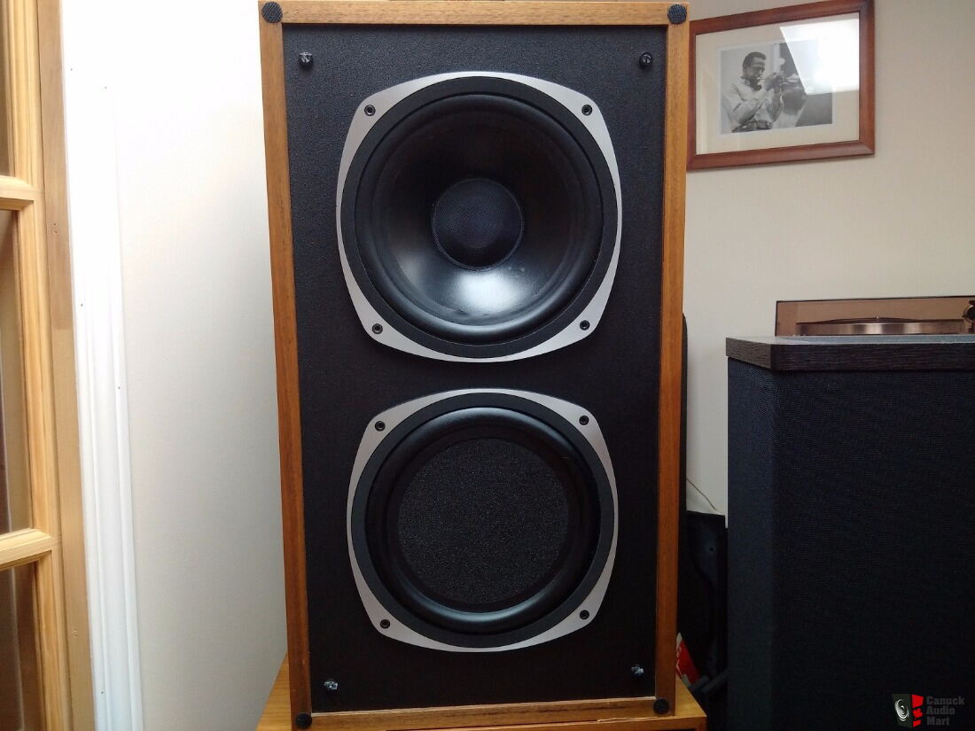 tannoy dorset t185 