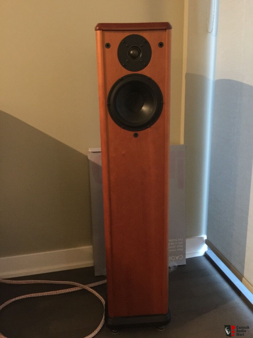 wilson benesch orator