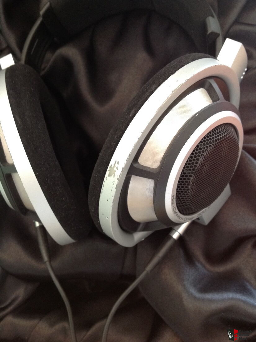 950/OBO Sennheiser HD 800 Photo 