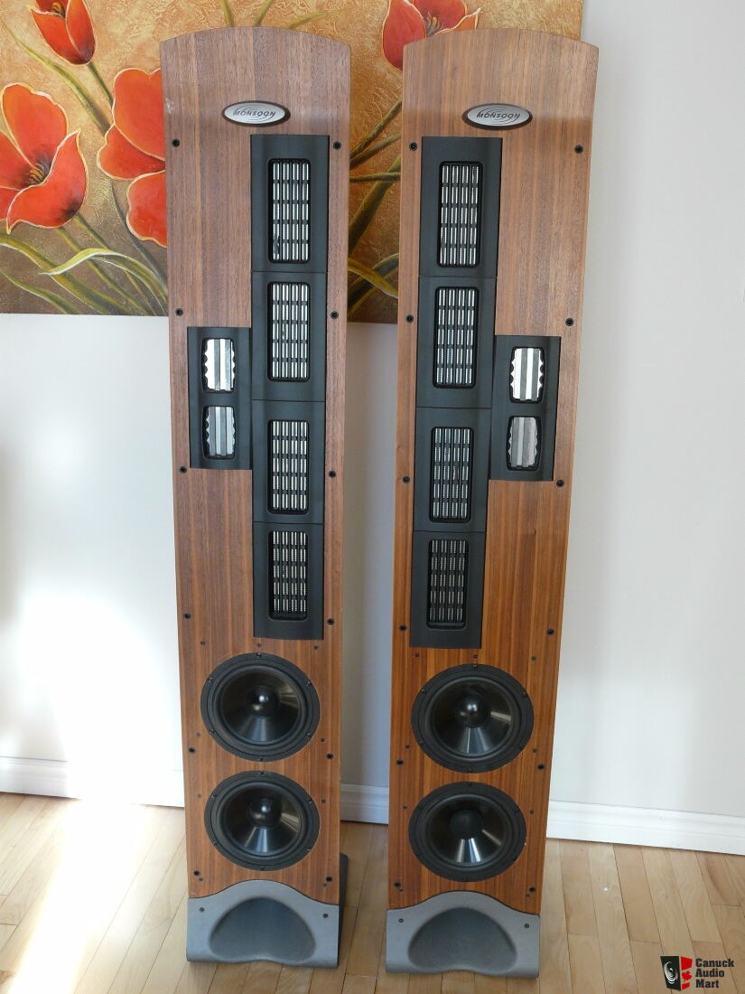 Monsoon FPF-1600 ribbon speaker Photo 
