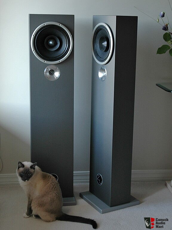 ZU Audio Druid Mk IV with Signature Tweeter Upgrade! SOLD TO JIM Photo