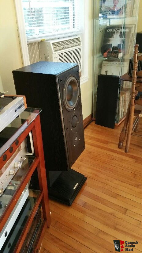 ruark accolade speakers