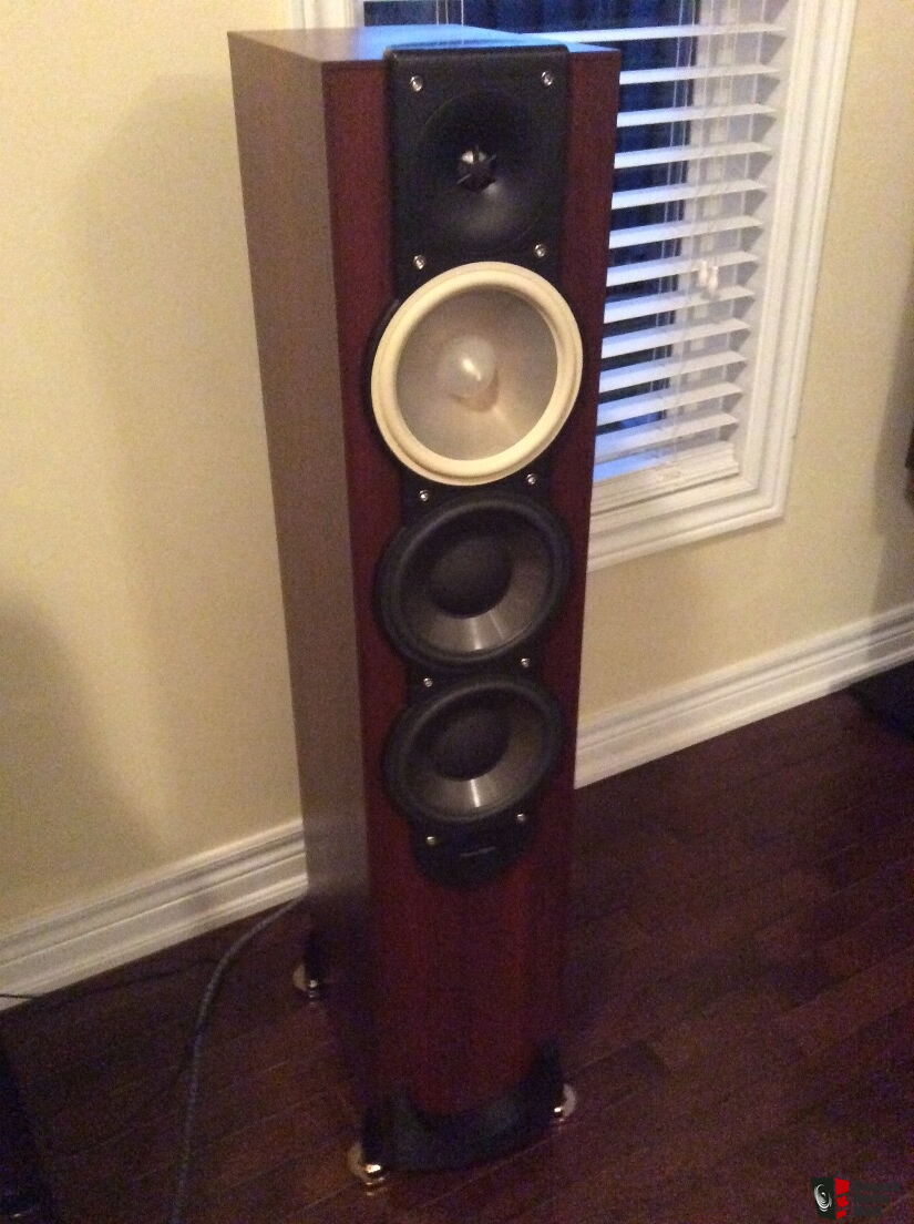 paradigm monitor 9 v6