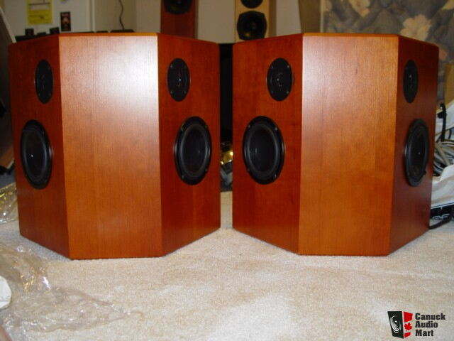 totem lynx speakers