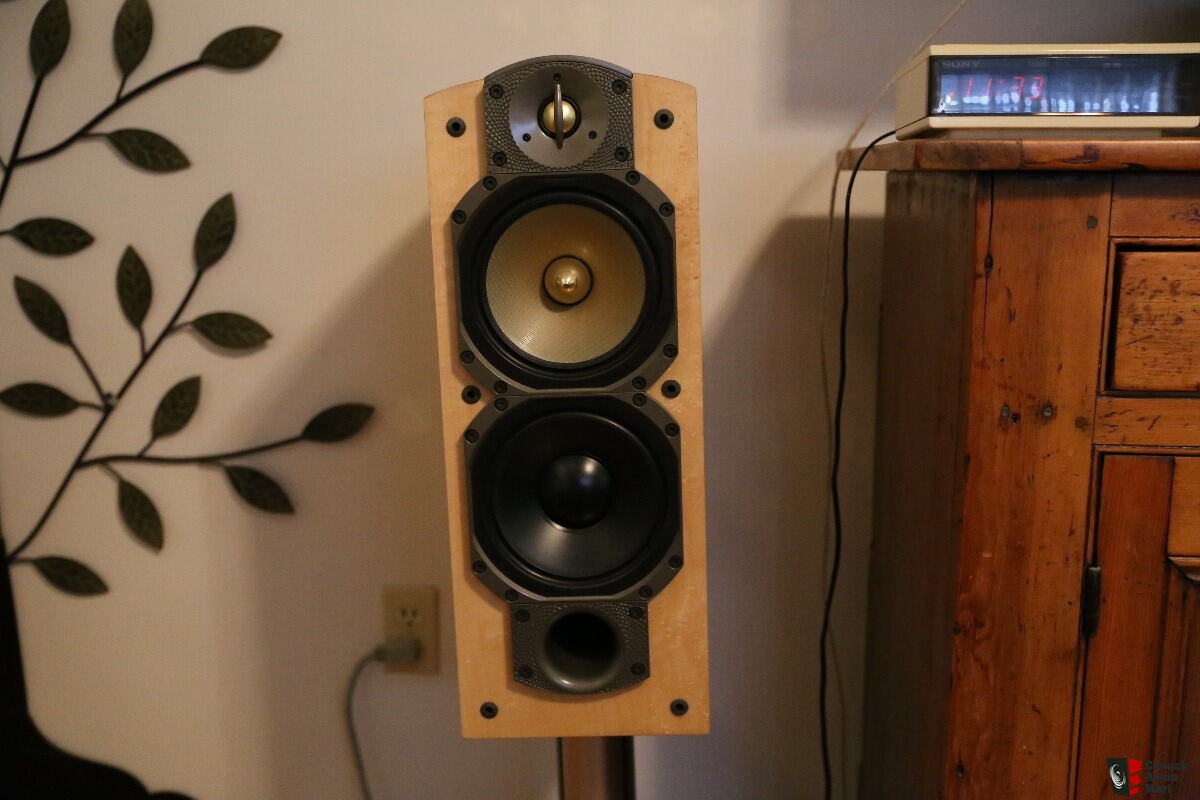 paradigm signature s4 speakers