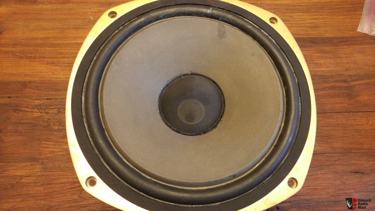 tannoy 3828