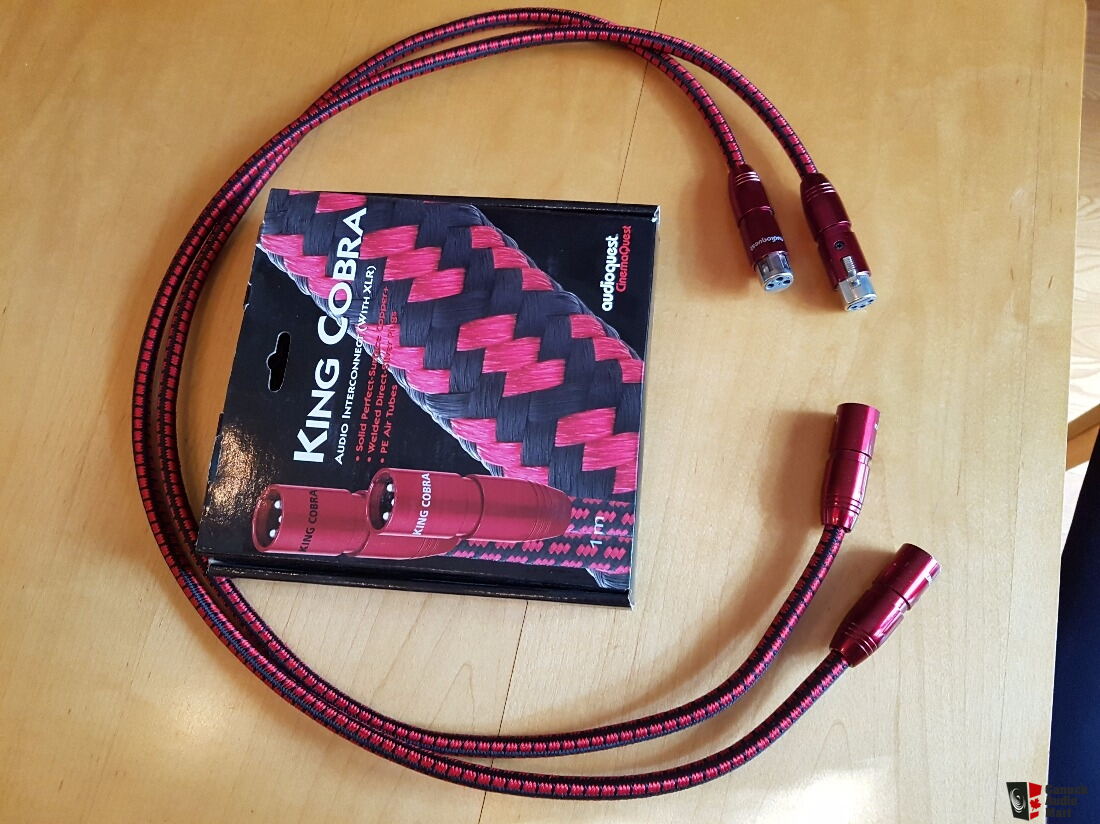 Audioquest King Cobra balanced 1m interconnect Photo 1364717 UK