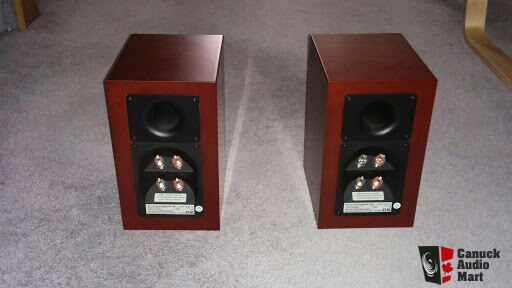 Elac BS 203 Anniversary Edition Speakers Photo #1535343 - UK Audio