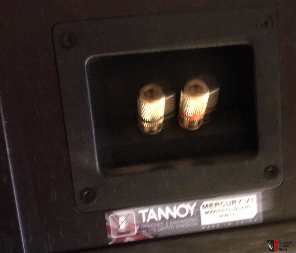 tannoy mercury v1 speakers