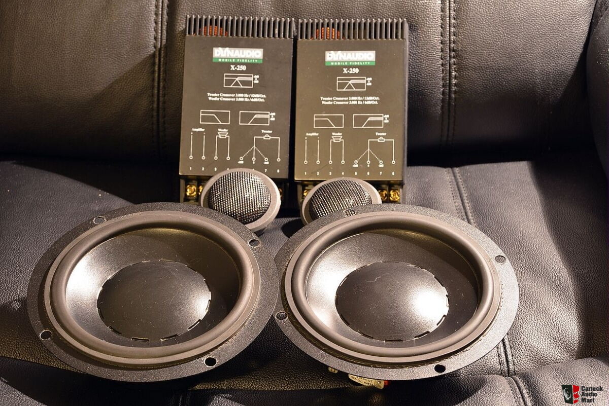 DYNAUDIO X-250 golf-gakkai.jp