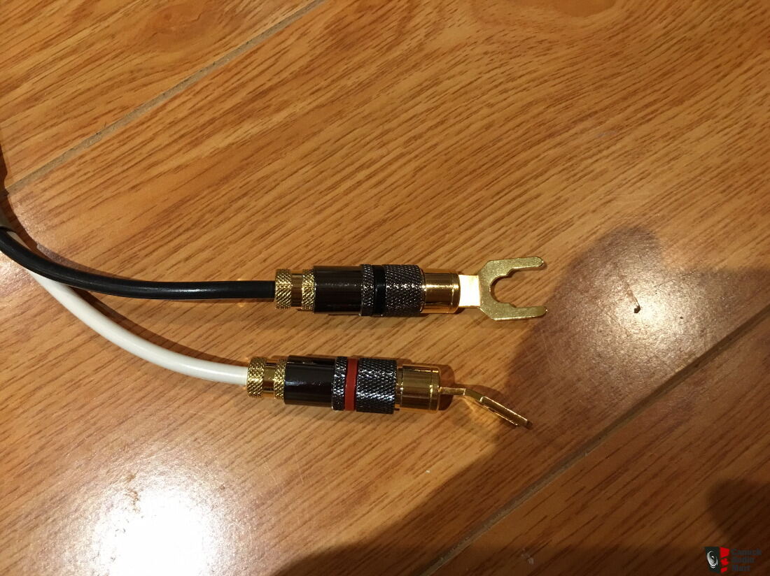 Speaker jumpers: Belden 5T00UP Speaker 