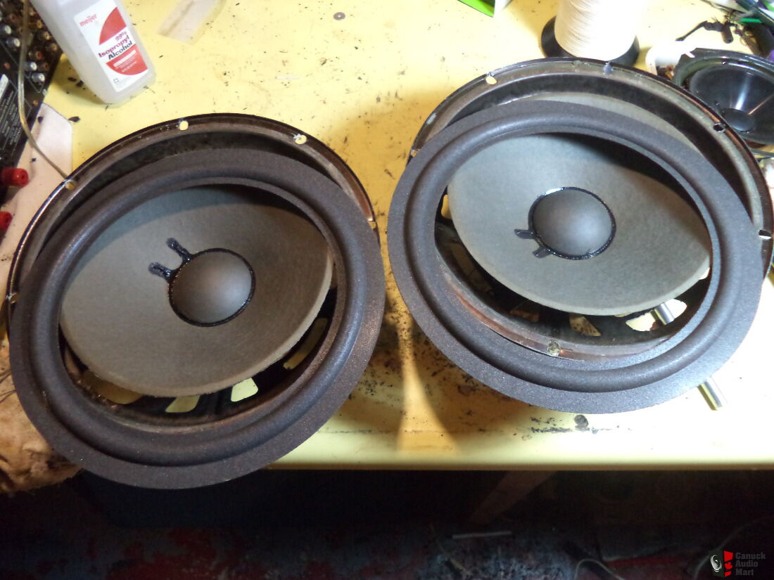 Bose 501 Series II Speakers (With 