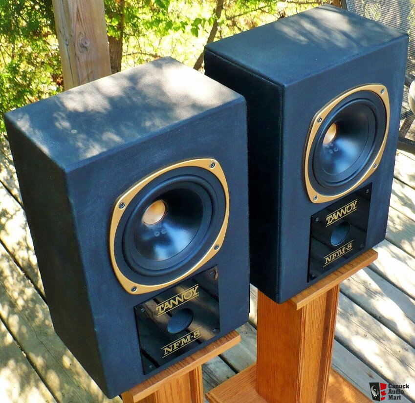 Tannoy nfm8 sales