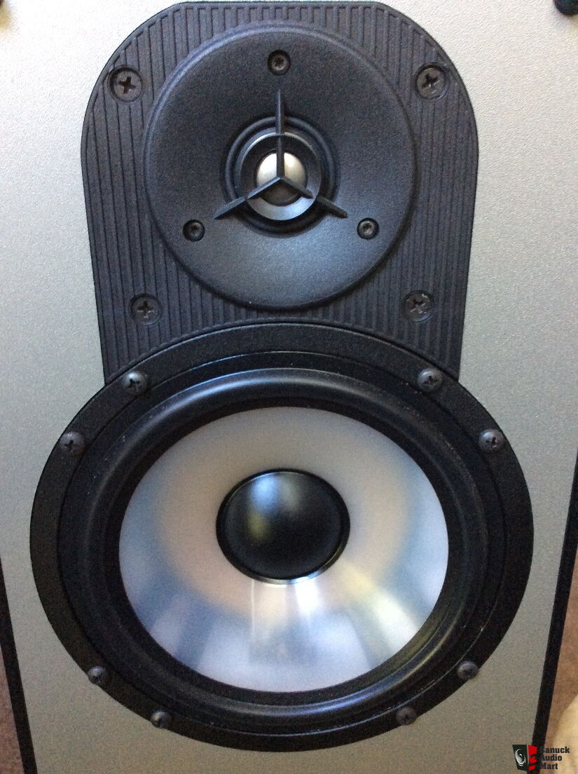 Paradigm Mini Monitor Speakers Photo #1639295 - Canuck Audio Mart