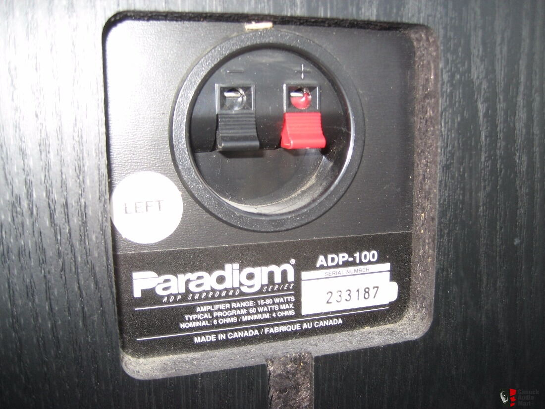 Paradigm hot sale adp 100