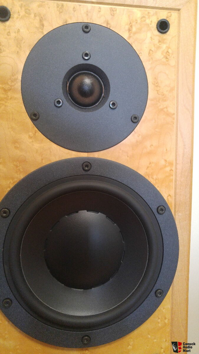 Dynaudio Contour 1.3 MkII bookshelf speakers Photo #1642778 - UK Audio Mart