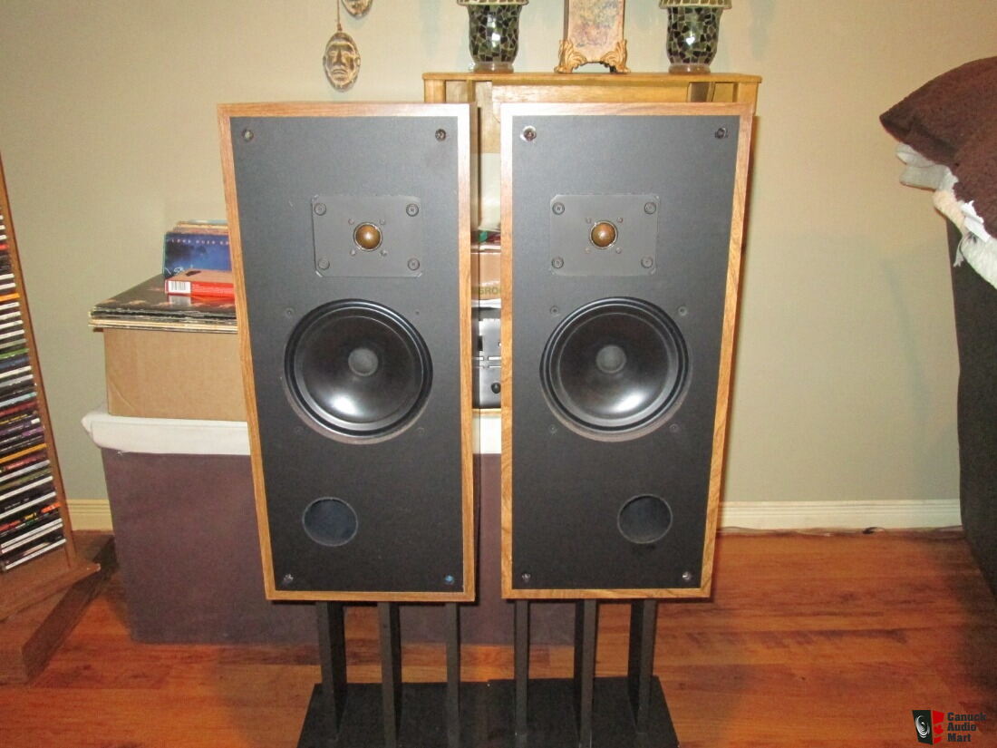 rega 3 speakers