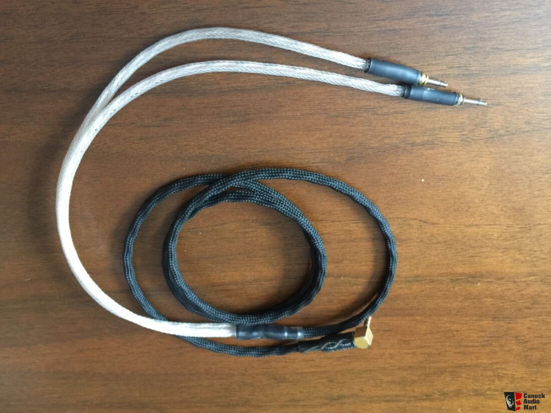 Sennheiser Hd 700 With Custom Double Helix Molecule Cable Reduced Price Photo Canuck Audio Mart