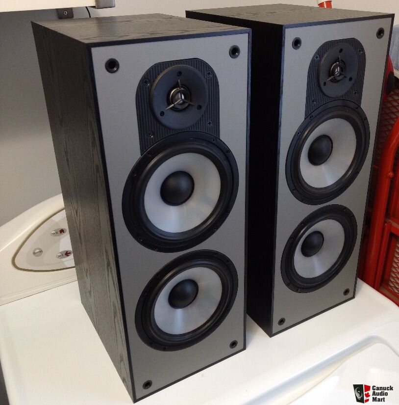 Lst Basik Monitor Speaker