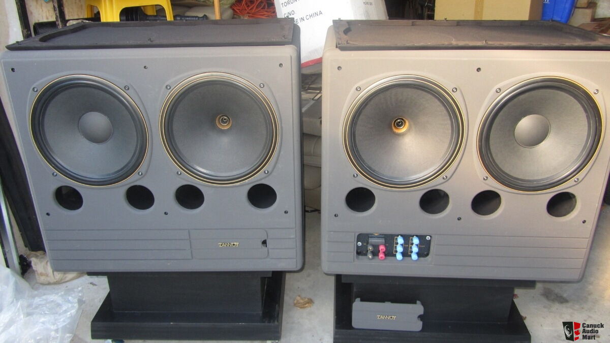 tannoy dmt 215