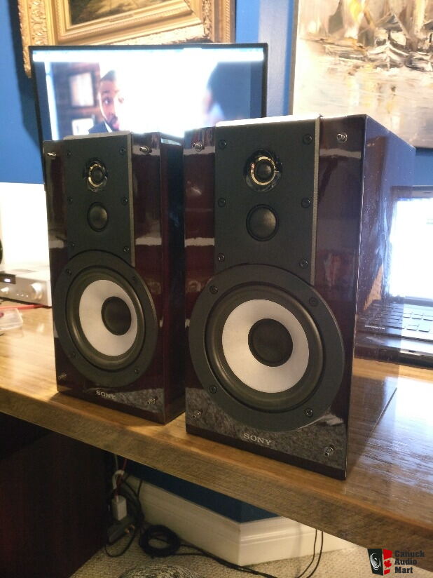 Sony hi-res speakers SS-HW1 For Sale - Canuck Audio Mart