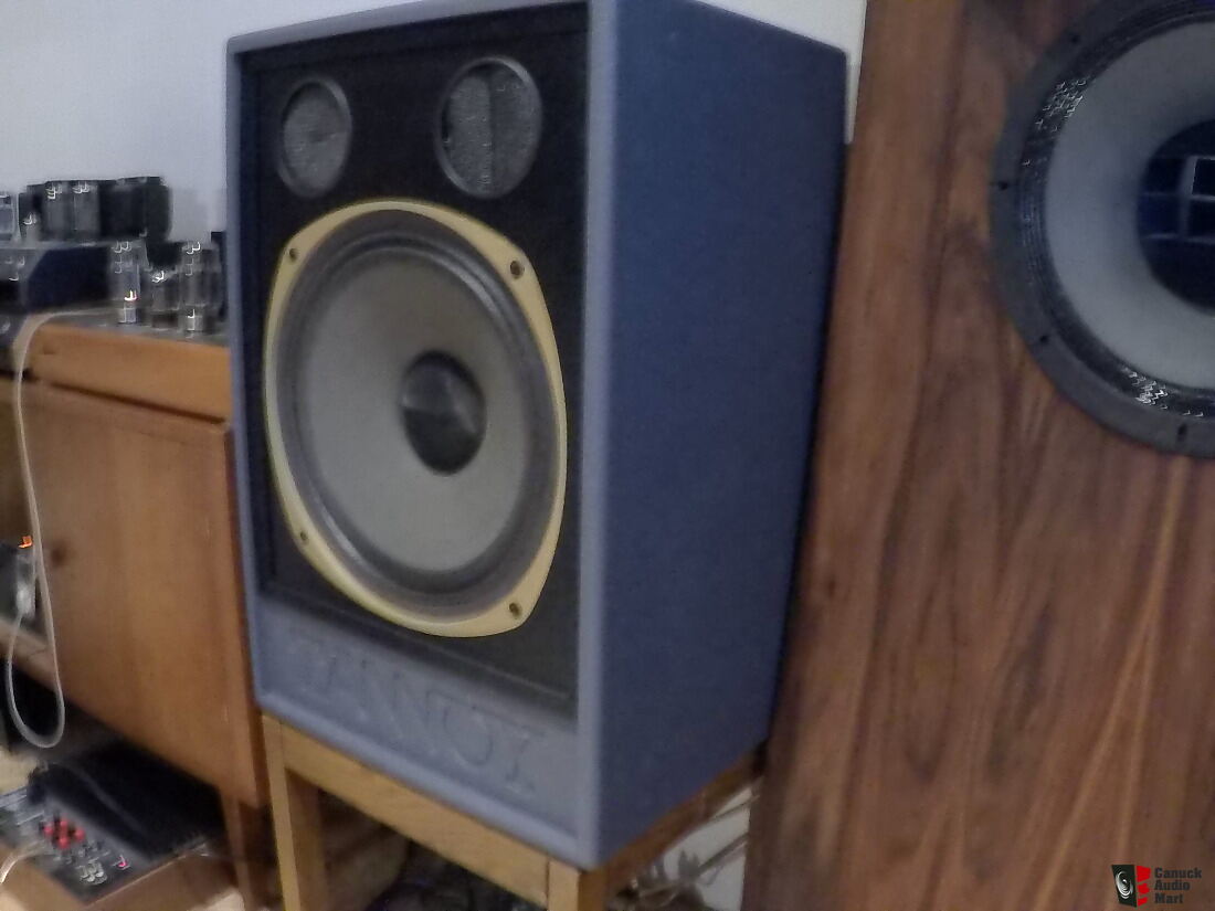 Tannoy wildcat speakers 15 inch 3805 dualconcentric monitors Photo #1866651 - US Audio Mart