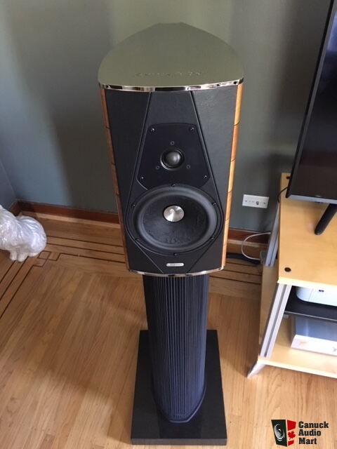 Sonus faber guarneri sales evolution for sale