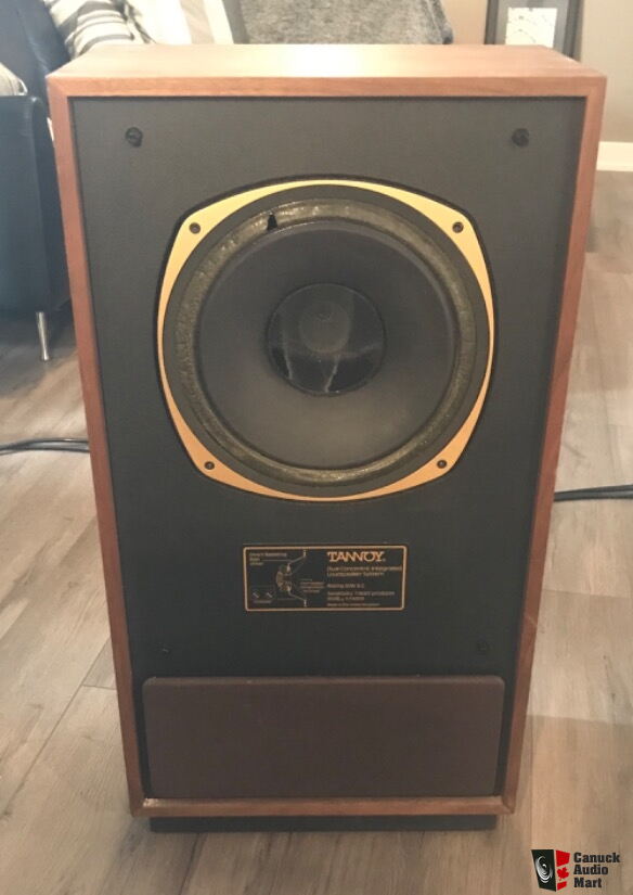 Tannoy cheap cheviot 3128